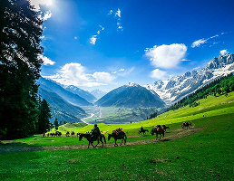 Best Packers and Movers in Jammu and Kashmir
